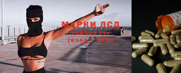 тгк Аркадак