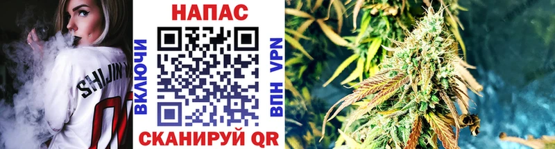 Бошки Шишки планчик  Саров 